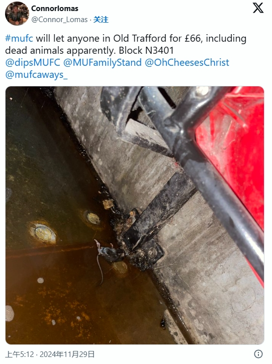 老特拉福德球迷看台出现死老鼠，球迷吐槽：它肯定也花了66英镑